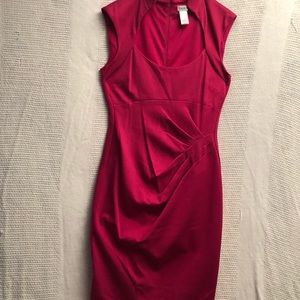 Caché Fuschia Dress